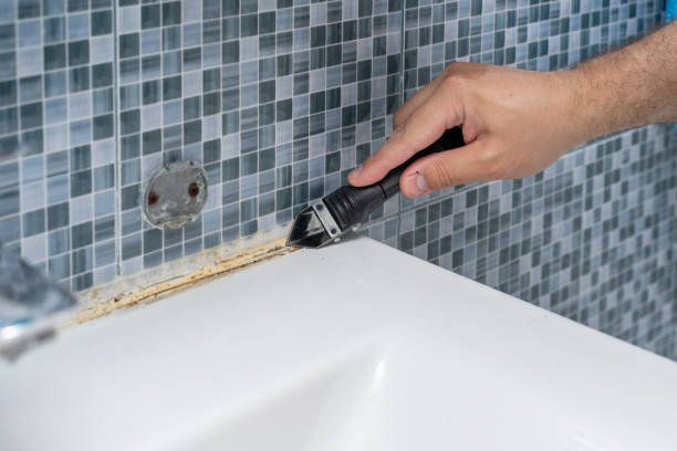 Best Mold Remediation  in Hornsby Bend, TX